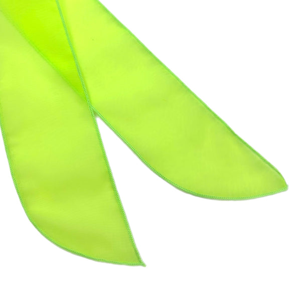Large Colored Sheer Shaker Bow Strips