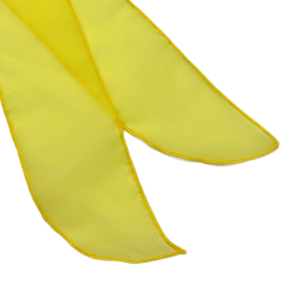 Large Colored Sheer Shaker Bow Strips